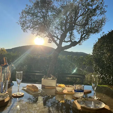 Domaine Park -grand T2 By Interhome Apartment *